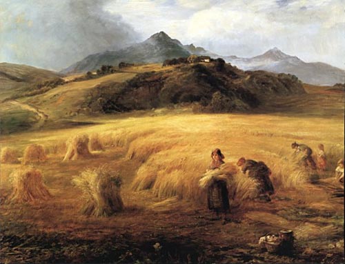 harvesting-arran